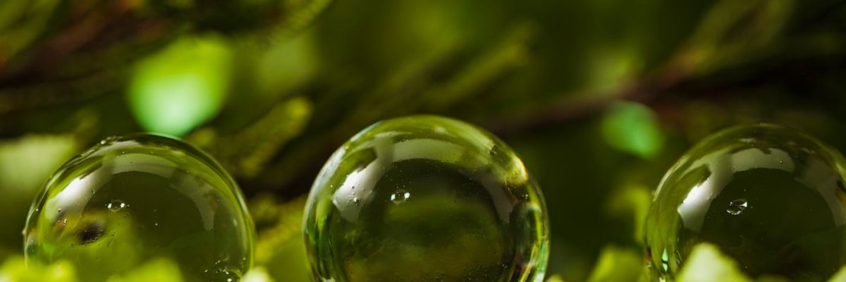 European Climate Change Adaptation conference and webinars