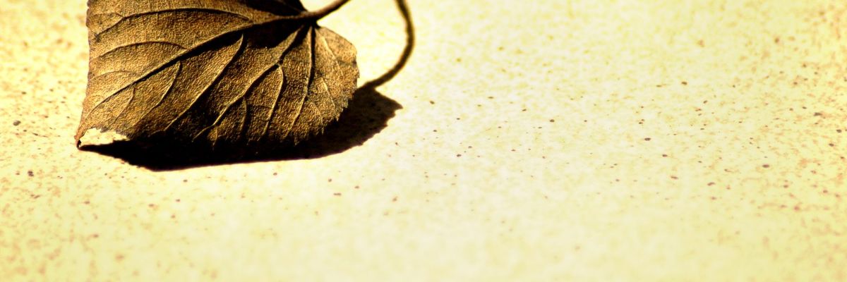 Save-the-date: Series of webinars on climate change adaptation