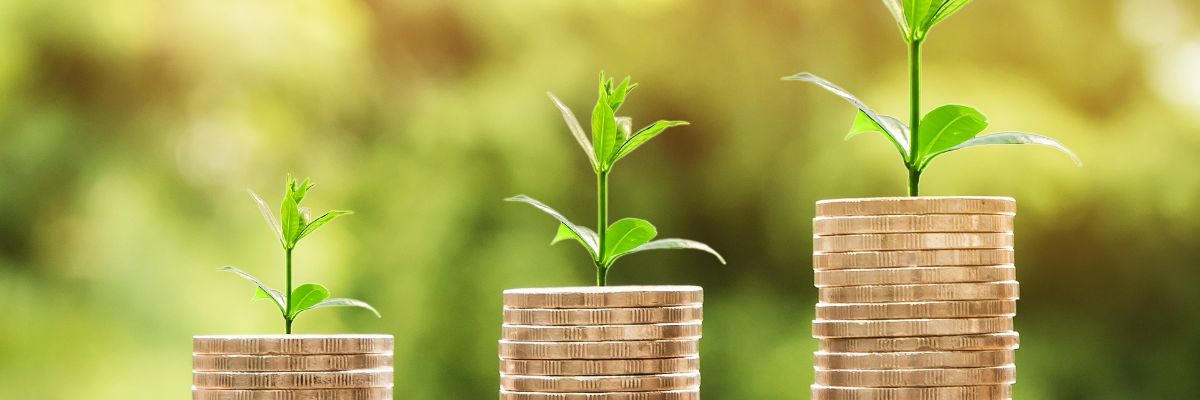 ERC Consolidator and Synergy Grants in 2022