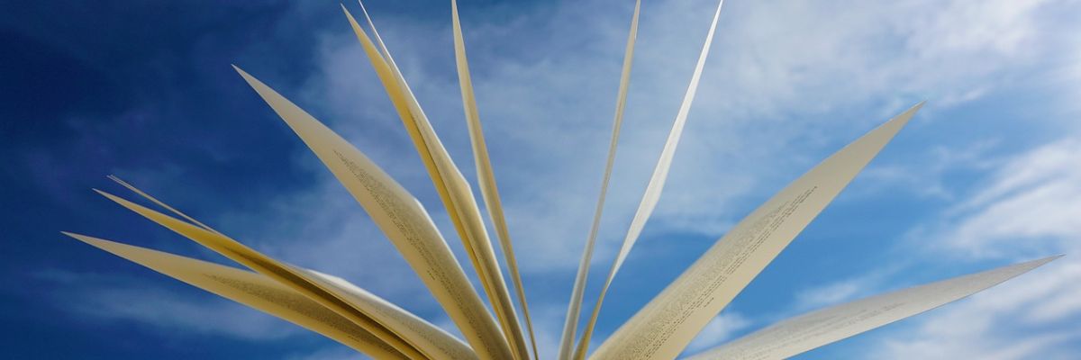 HERA: Leverage Report and Knowledge Excange and Impact Report