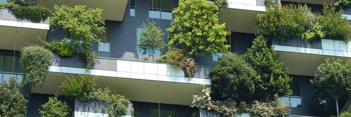 New European Bauhaus not a new EU Mission
