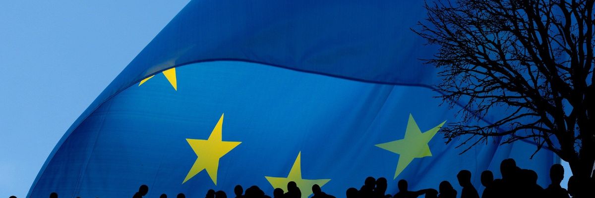 Online EU conference on modelling for policy support