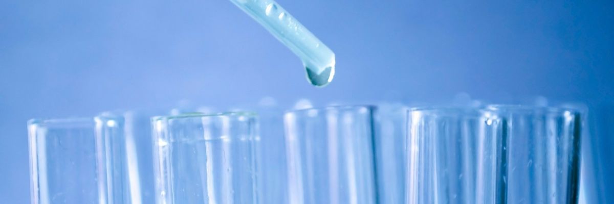 Online workshop on methods and models in biomedical sciences