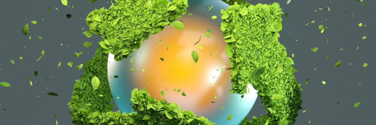 Online forum on sustainability of research infrastructures