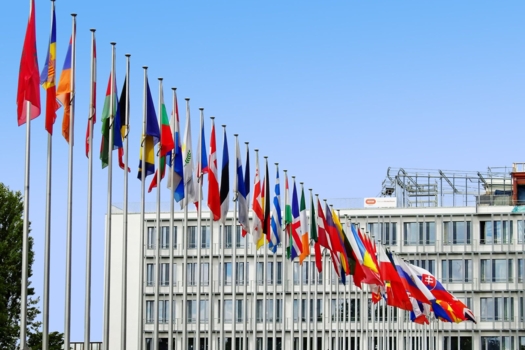 EC open public consultation: on European partnerships and on raw materials