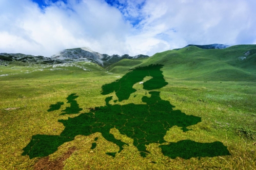 Webinar on EEA and Norway Grants