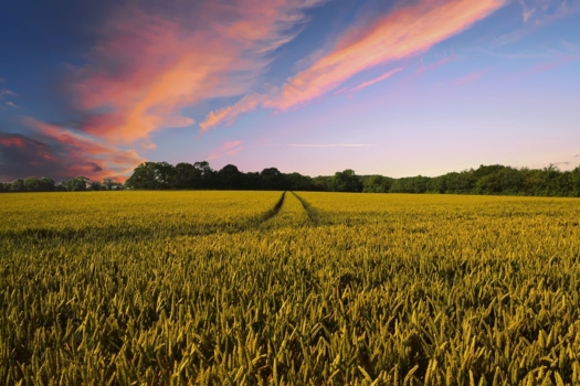 Infodny k Misím EU a průřezovým aktivitám