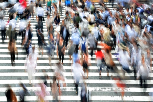 MSCA Fellowships CZ - synergies in practice