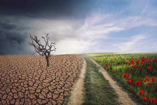 Konference SoilCon: Ground for future cooperation in Europe