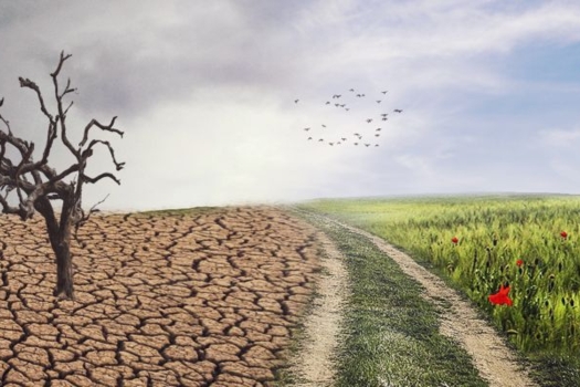 Veřejná konzultace EK k principu "nezpůsobit významnou škodu" v oblasti klimatu