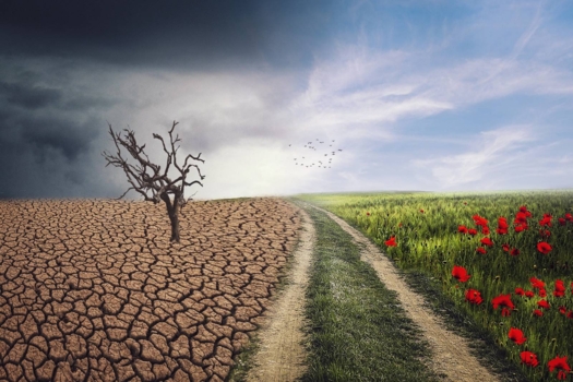 Conference SoilCon: Ground for future cooperation in Europe
