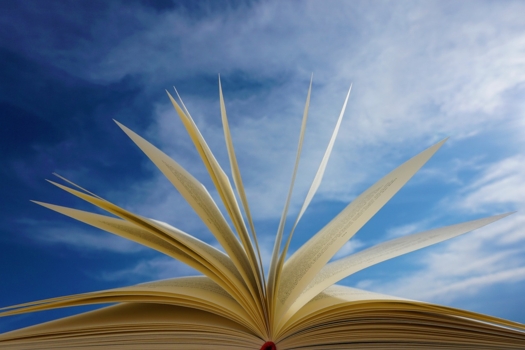 HERA: Leverage Report a Knowledge Exchange and Impact Report